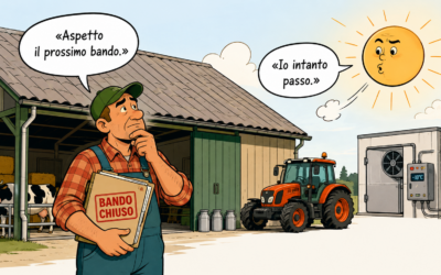 Fotovoltaico aziende agricole: cosa fare dopo Agrisolare